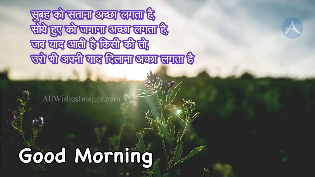 Good Morning Image With Love Shayari