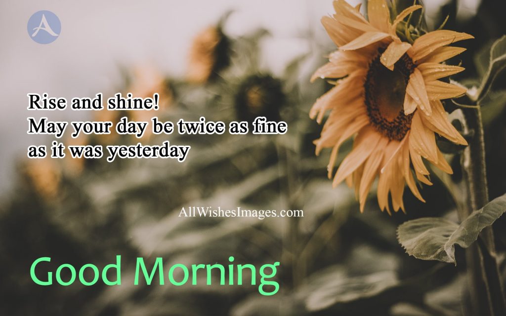 Good Morning Quotes In English For Whatsapp