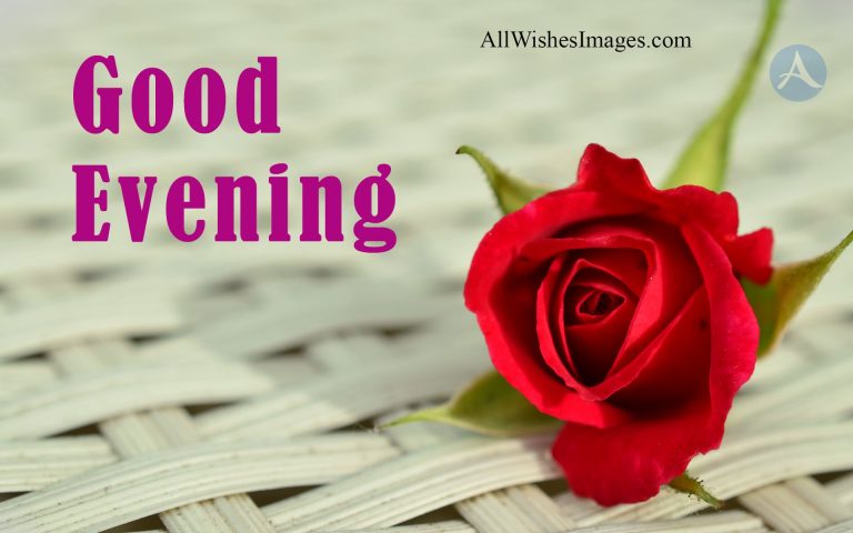 30+ Good Evening Image With Red Rose - Lovely Good Evening images (HD)