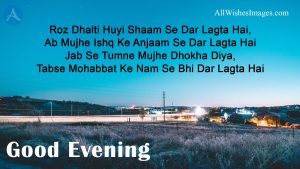 Good Evening Image With Hindi Quote