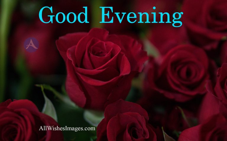 30+ Good Evening Image With Red Rose - Lovely Good Evening images (HD)