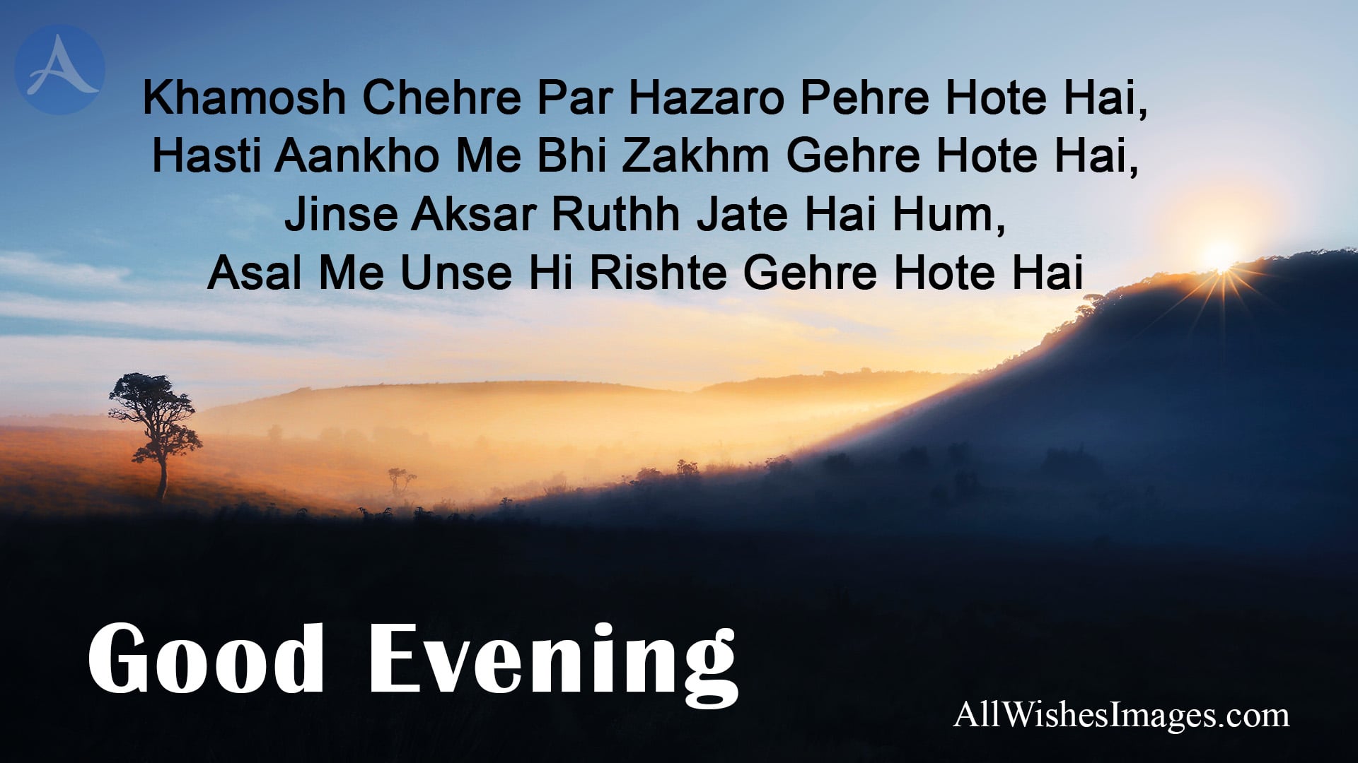 Good Evening Images In Hindi Shayari - All Wishes Images - Images for  WhatsApp