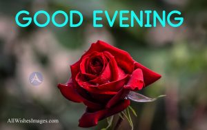 Good Evening Images With Love Hd
