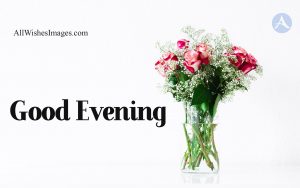 Good Evening Roses