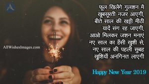 Happy New Year 2019 Image With Quotes In Hindi