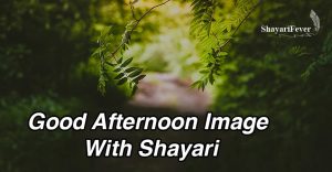Good Afternoon Image With Shayari