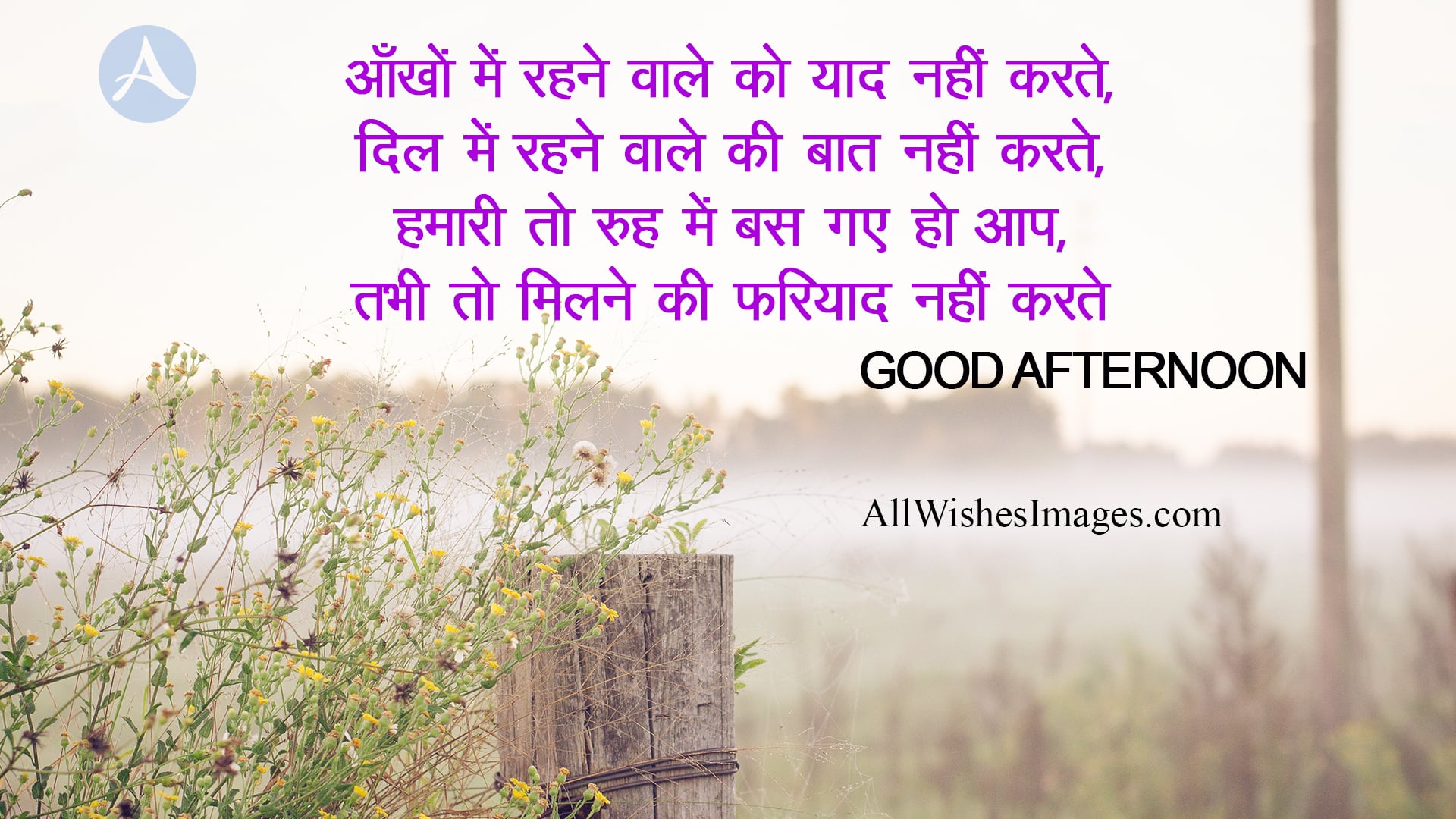30+ Good Afternoon Image With Shayari || गुड आफ्टरनून इमेज विथ शायरी - All  Wishes Images - Images for WhatsApp