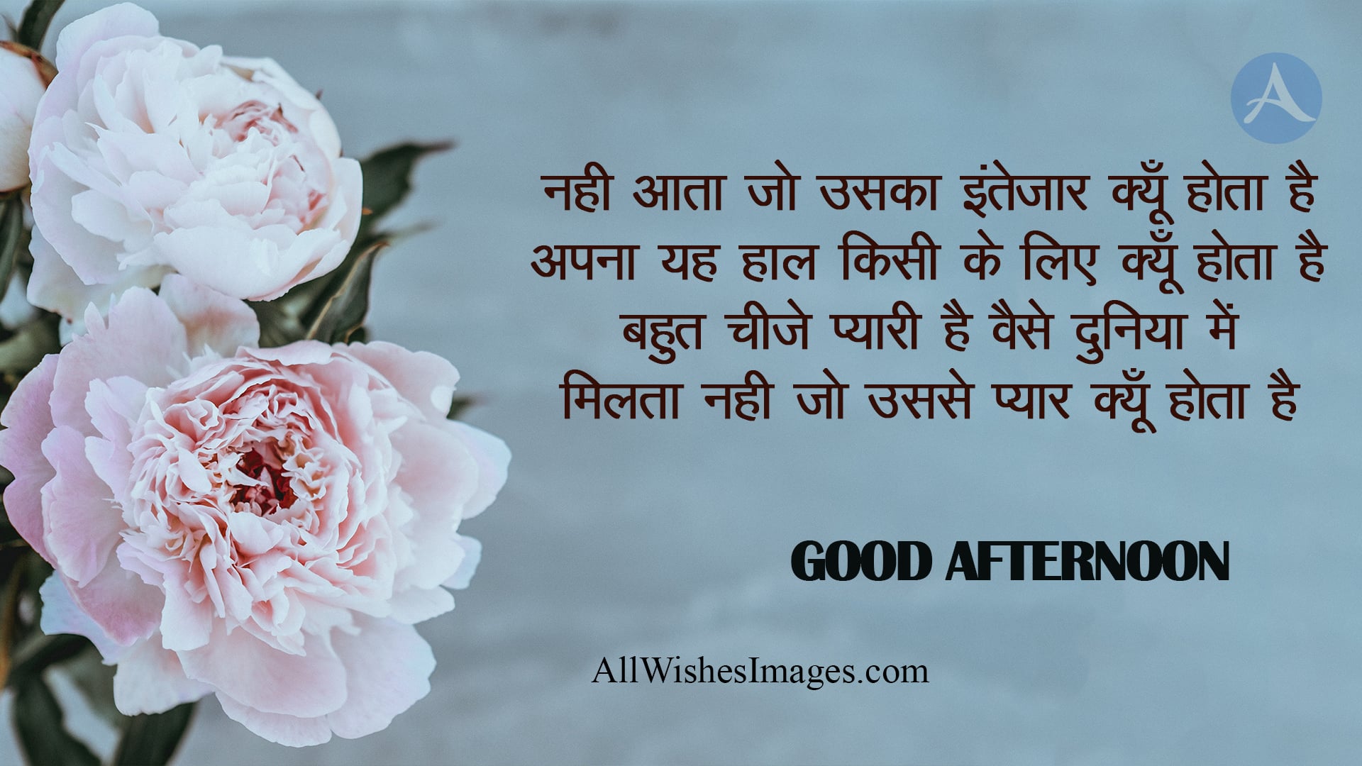 Good Afternoon Images In Hindi - All Wishes Images - Images for WhatsApp