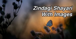 Zindagi Shayari With Images